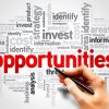Developing and Exploiting Opportunities